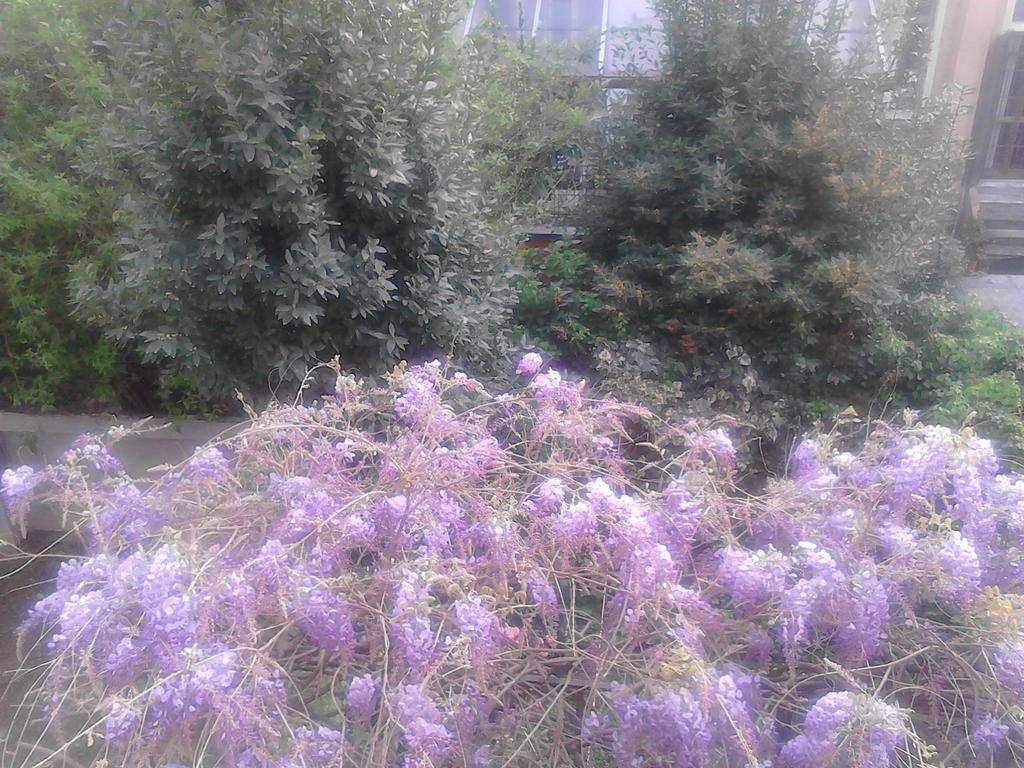 B&B La Villetta Mediolan Zewnętrze zdjęcie